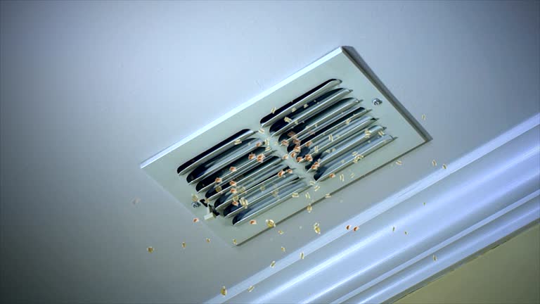 Best Affordable HVAC Duct Cleaning  in Laurel, FL